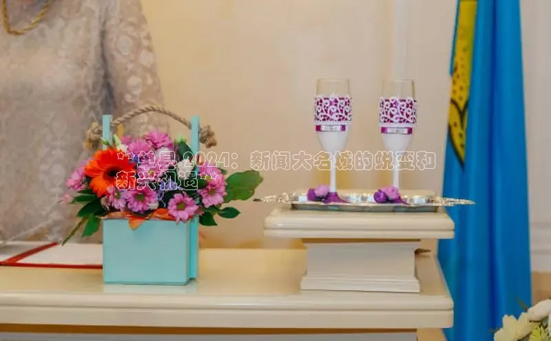 易游app官方下载颐驰 06**单县 2024：新闻大名城的蜕变和
新兴机遇**