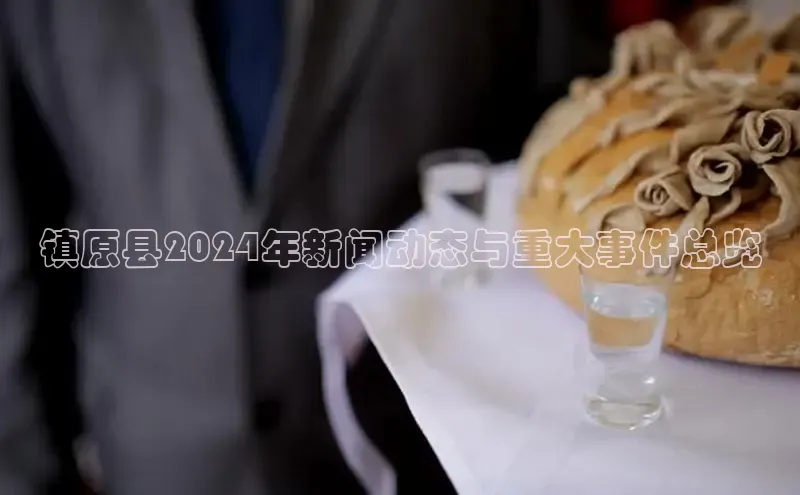 m6yy易游百度翻译镇原县2024年新闻动态与重大事件总览