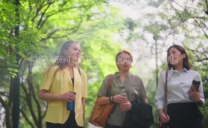 米乐m6易游58同城长沙 2024 年凶杀案：震惊全城的悲惨
事件