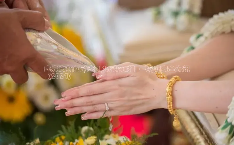 米乐m6网页版登录入口携程鹿泉市新闻动态 | 权威及时 | 一览鹿泉全资讯
（2024）