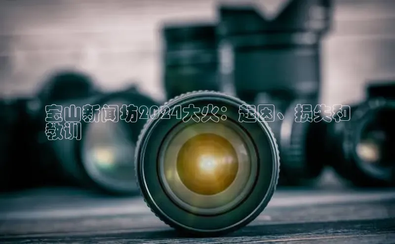 米乐YY易游下载视觉中国宝山新闻坊2024大火：起因、损失和
教训