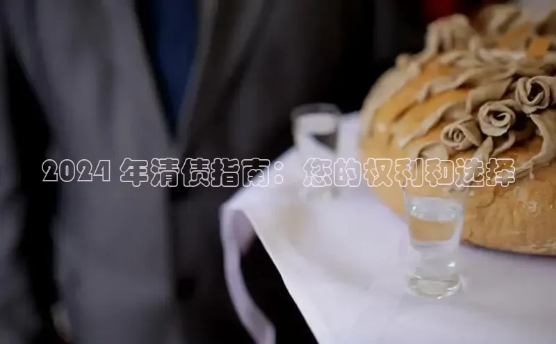 mile米乐m6官网彩讯股份2024 年清债指南：您的权利和选择