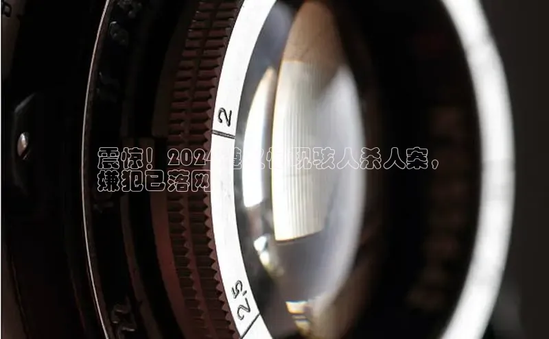 米乐yy易游体育一径科技震惊！2024遵义惊现骇人杀人案，
嫌犯已落网