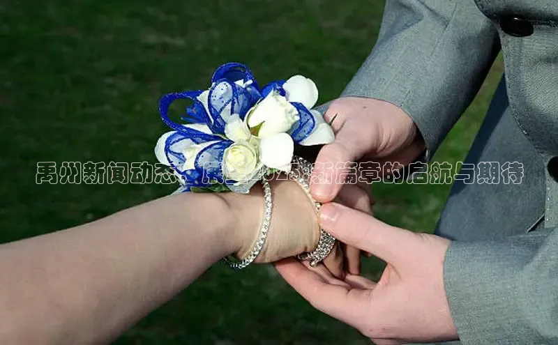 米乐yy易游体育交流app