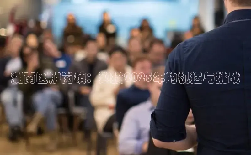 潮南区胪岗镇：迎接2025年的机遇与挑战