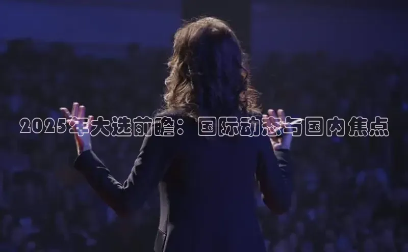 2025年大选前瞻：国际动态与国内焦点